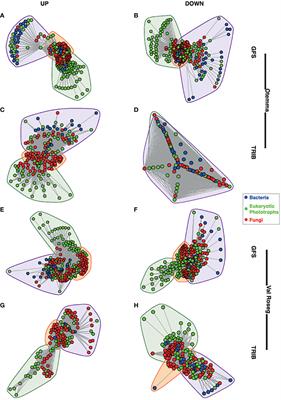 Cross-domain interactions confer stability to benthic biofilms in proglacial streams